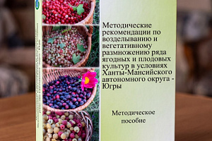 Вырастить сад в суровом климате Югры? Теперь это реальность!